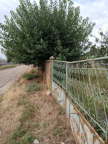 Comuna Baneasa, judetul Giurgiu