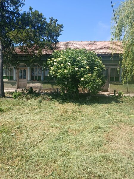 Comuna Baneasa, judetul Giurgiu